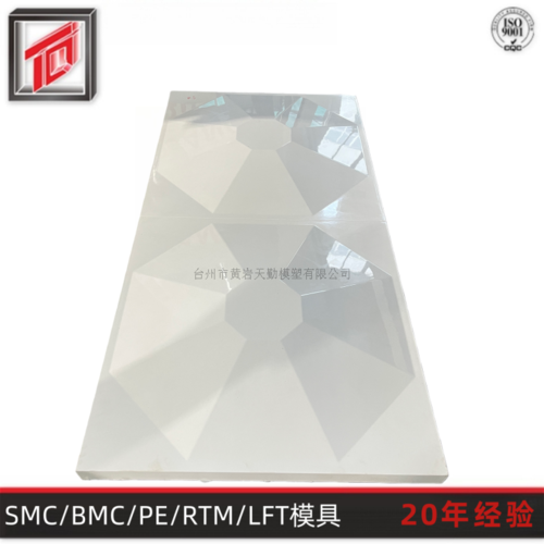 SMC水箱板模具(7)