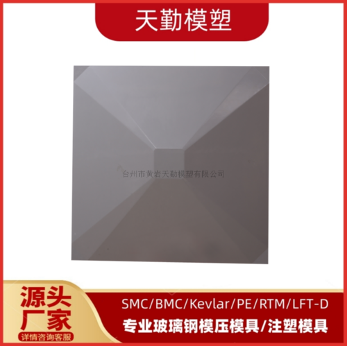 SMC水箱板模具(4)